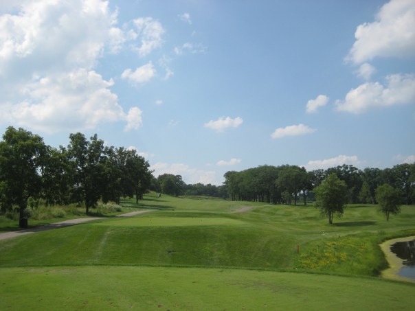 Foxford Hills Golf Club 050