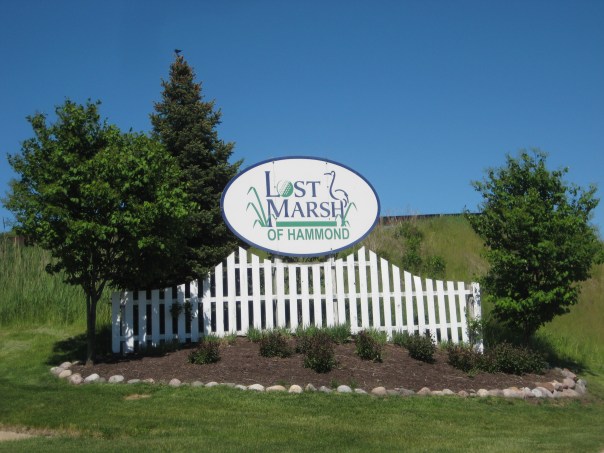 Lost Marsh