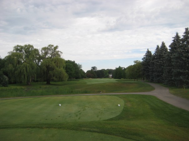 Glenview Park Golf Club_19