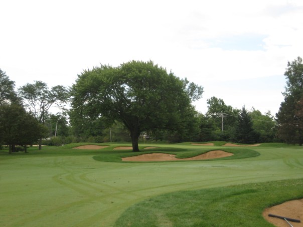Glenview Park Golf Club_13